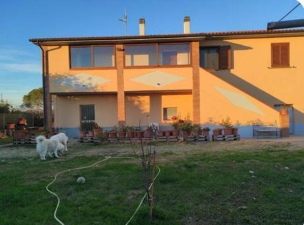Apartment Twins Piombino
